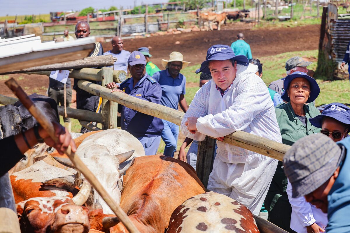 Karan Beef hervat uitvoere ná ’n uitdagende jaar met BKS