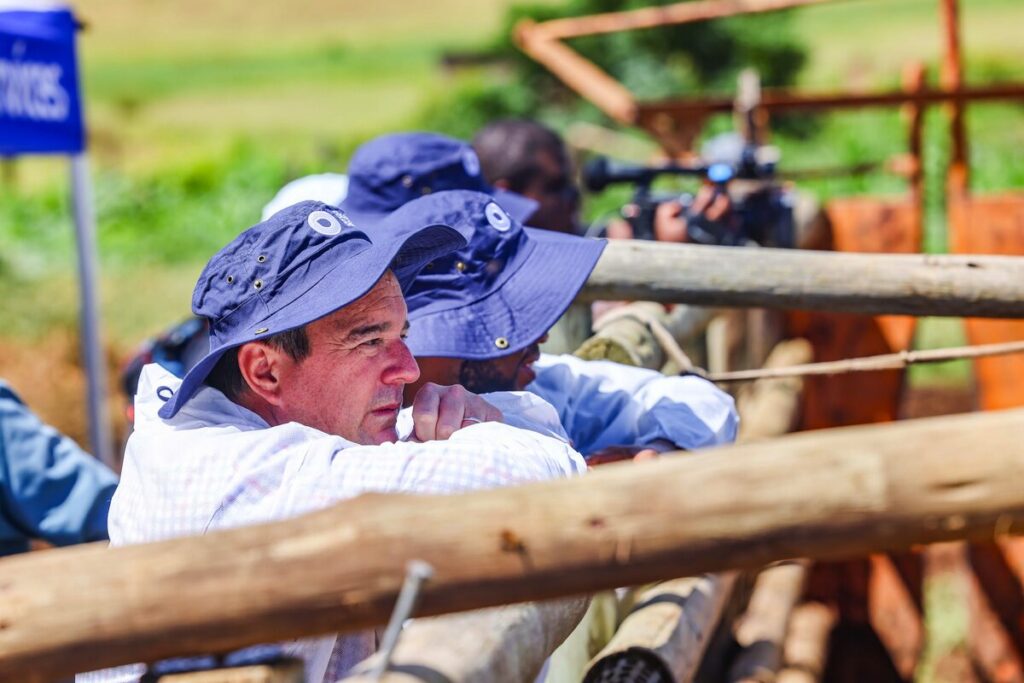 Steenhuisen by die inenting van vee in Katlehong in Maart in Ekurhuleni in Gauteng. 