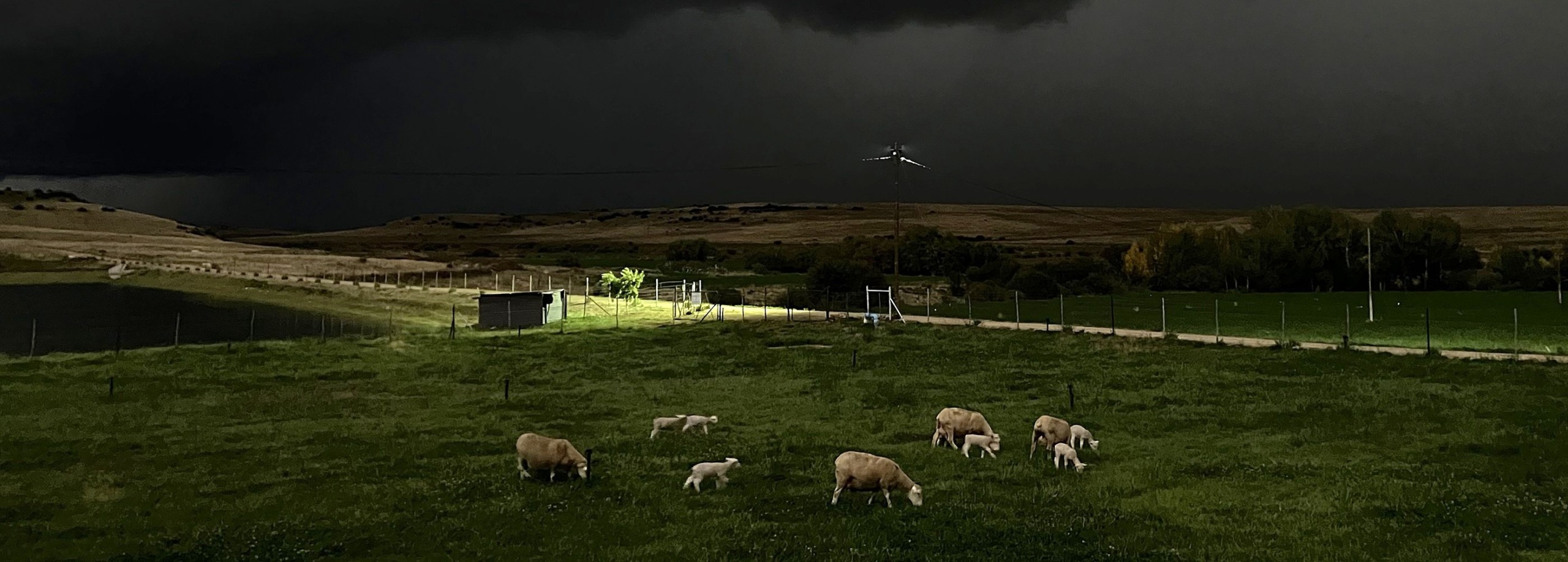 Haelstorms, veldbrande, oorstromings: Versekering krities vir dié weer