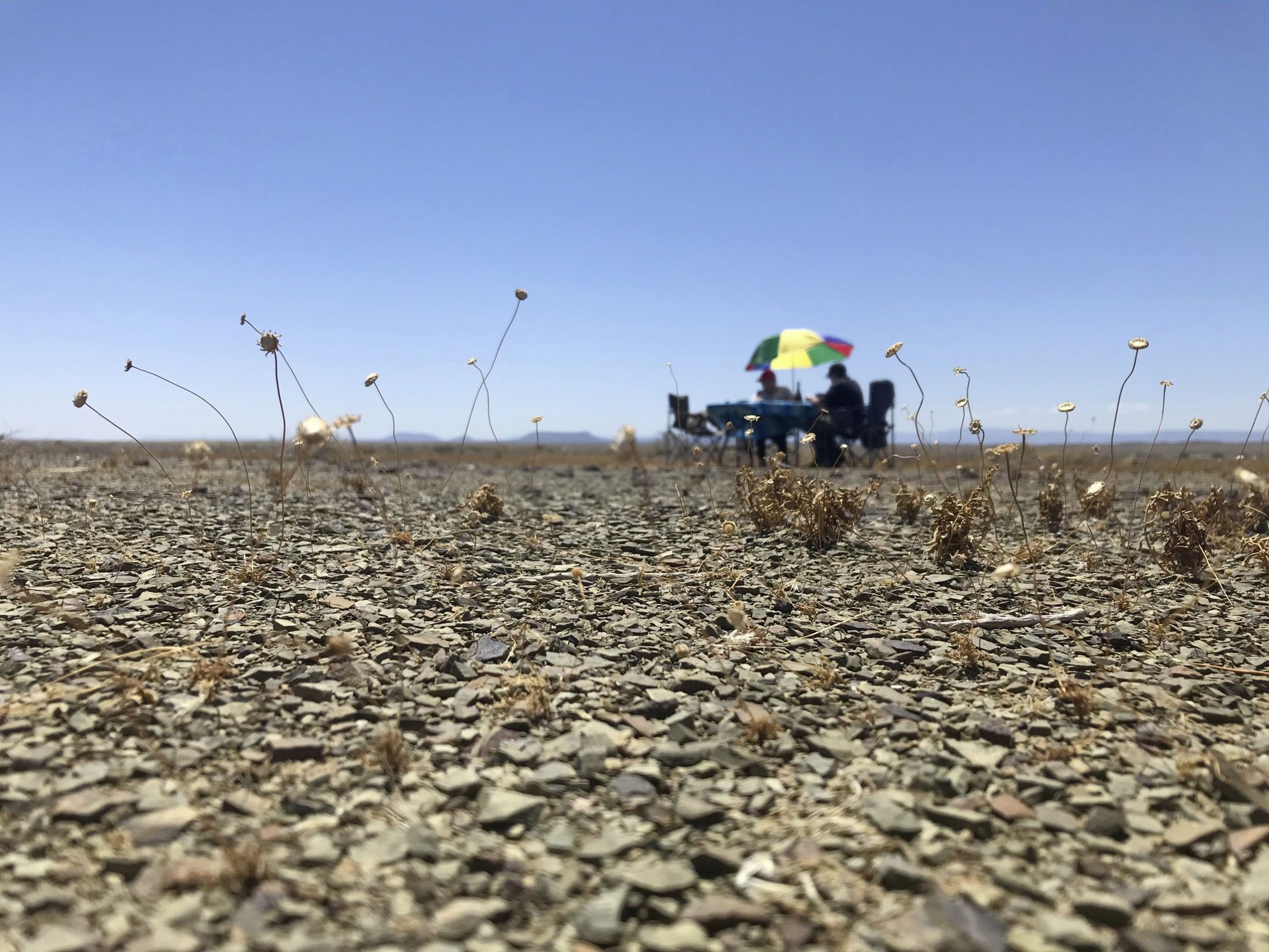Warm en droog op pad: El Niño reeds hier