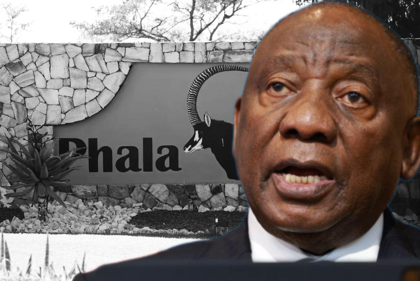 Hill-Lewis oor Phala Phala: ‘Ek kan nie wangedrag beskerm’