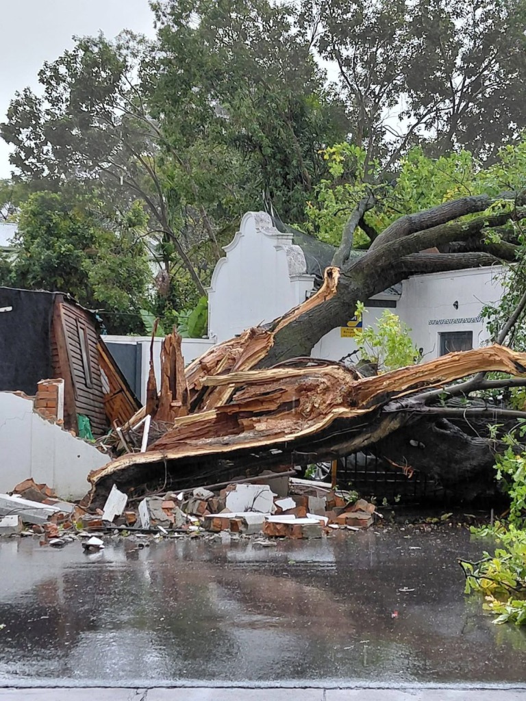 ’n Boom het Maandagoggend op ’n historiese gebou in Krugerstraat, Franschhoek geval.