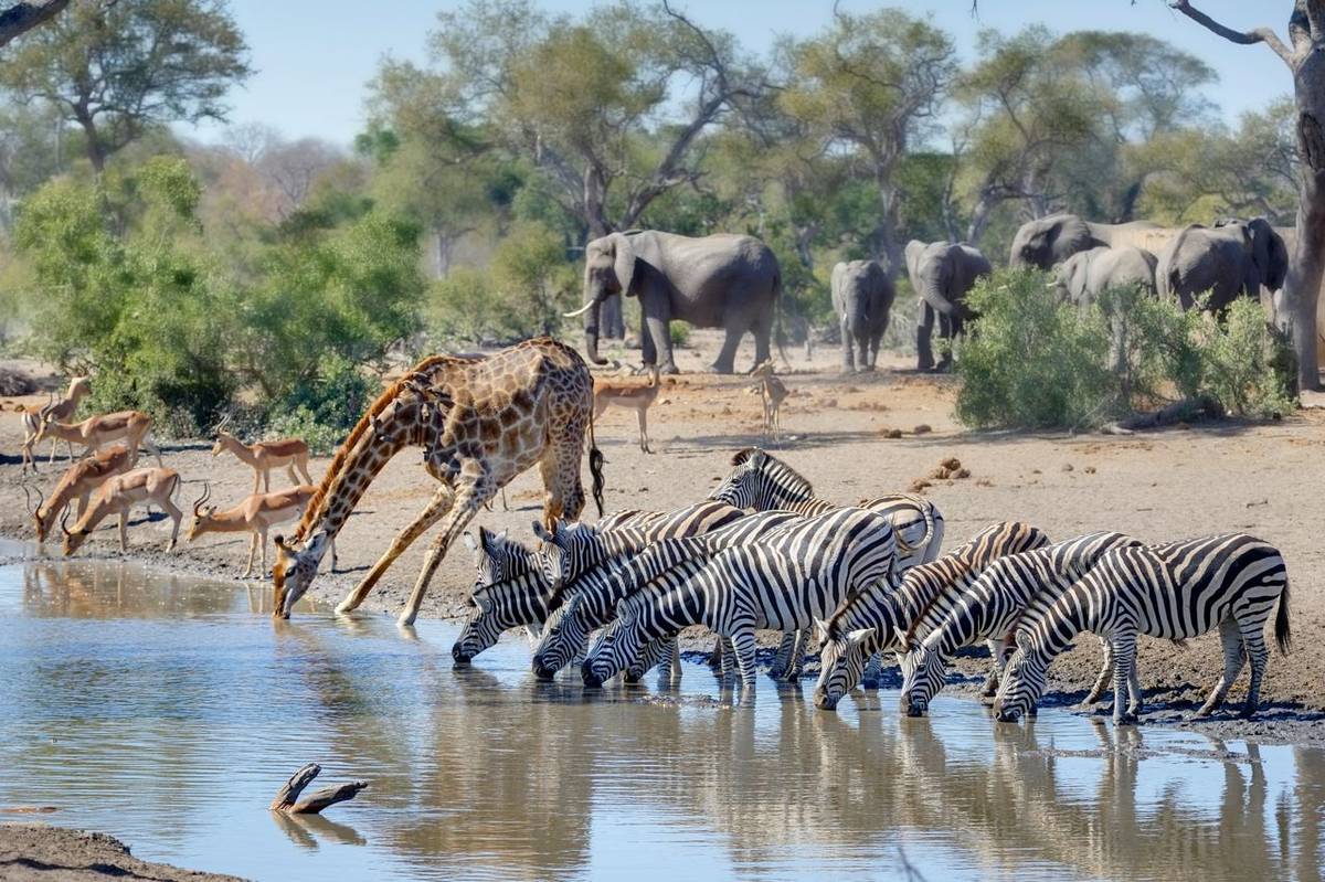 Krugerwildtuin se eeufeesvieringe deur brutale moord op bejaarde egpaar oorskadu