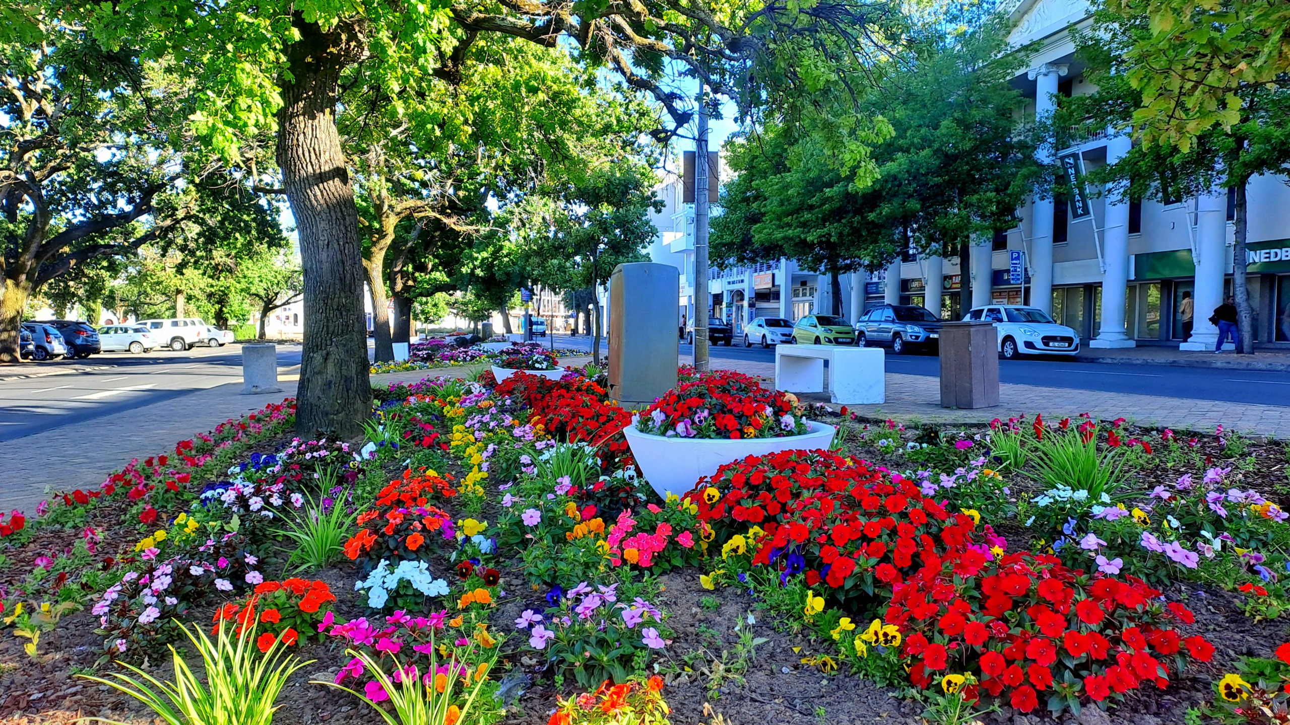 Lesersfoto van die dag: Stellenbosch se strate