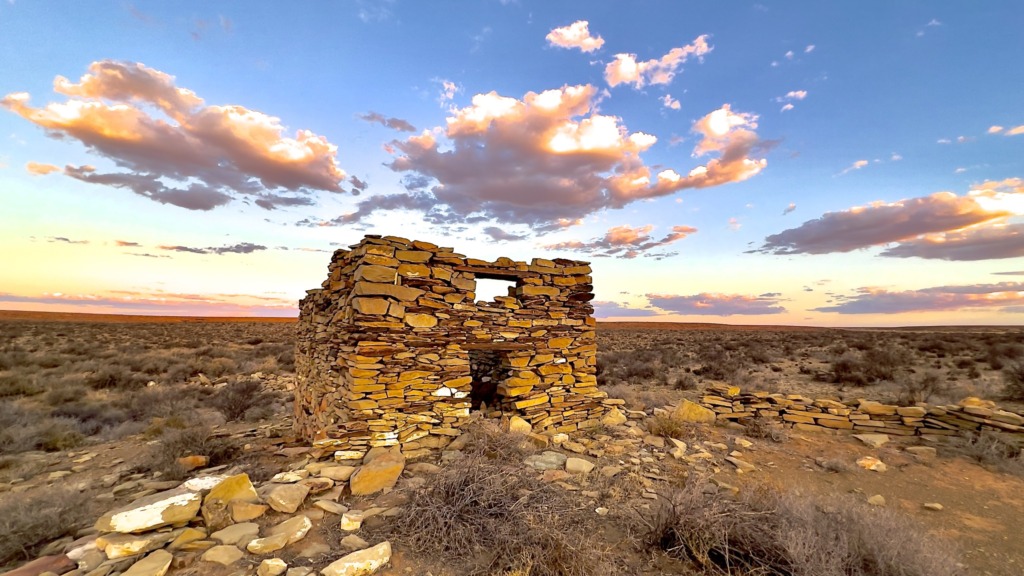 Karoo-kiekies