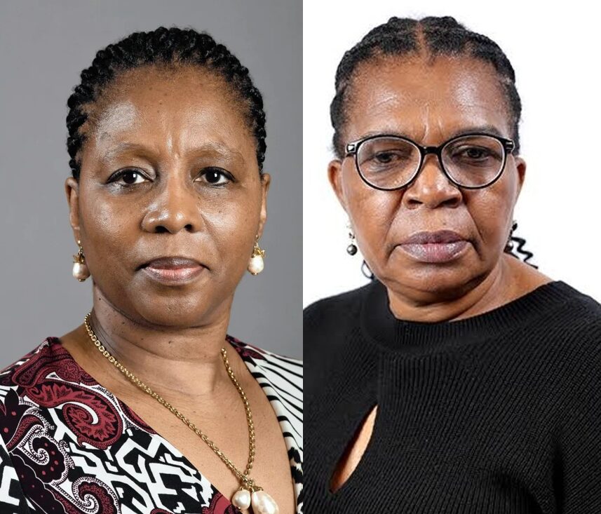 Ayanda Dlodlo en Dina Pule is in senior poste aangestel.