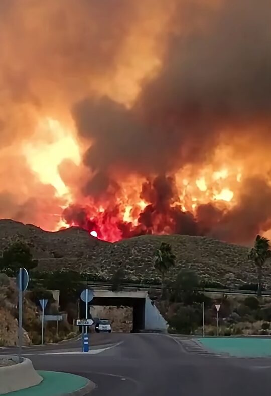 Hoofsaaklik buitelanders onder 12 slagoffers van dodelike veldbrand in Spanje