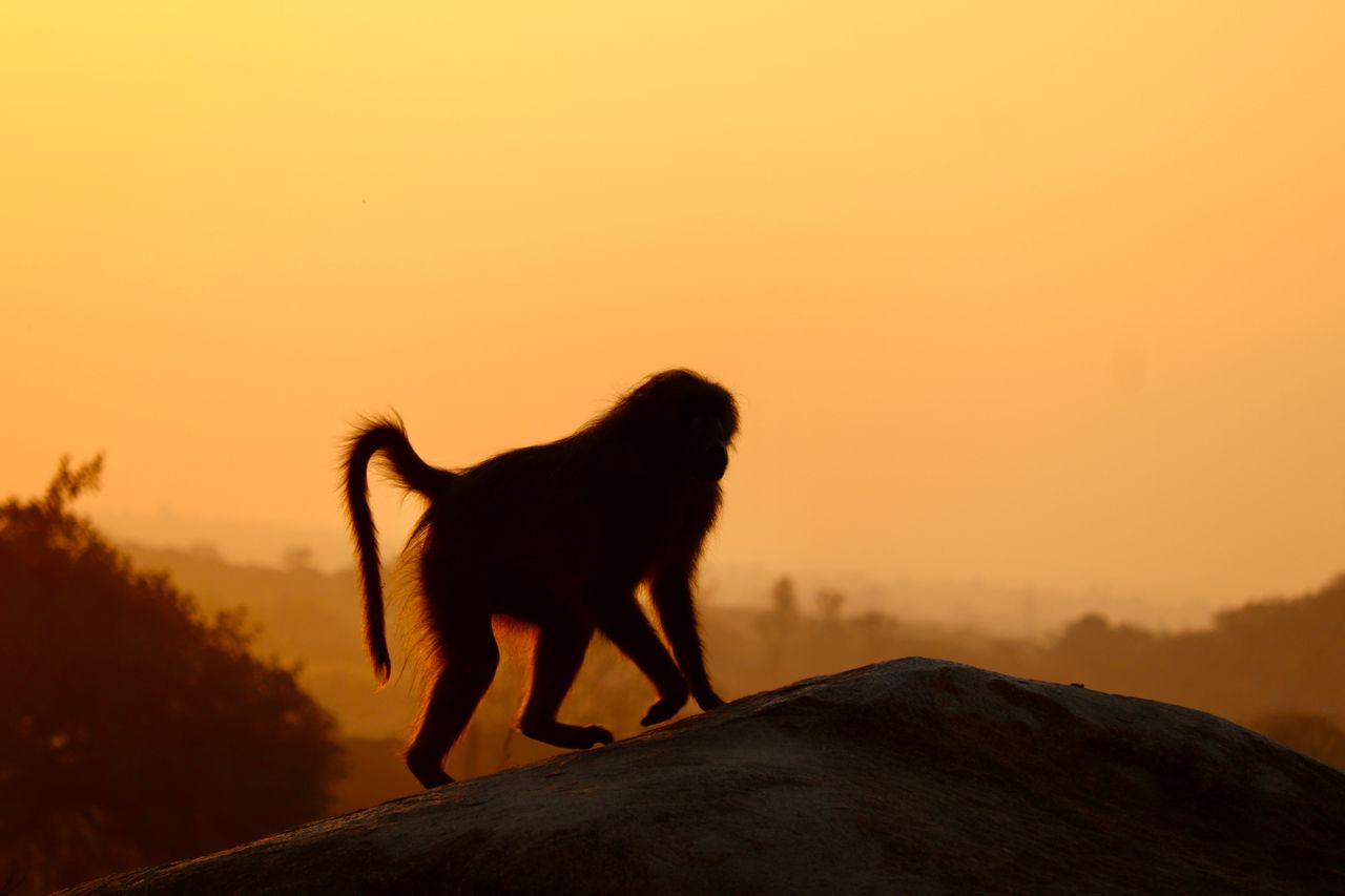 Ter illustrasie. Foto: Carolyn Shearer/pexels.com