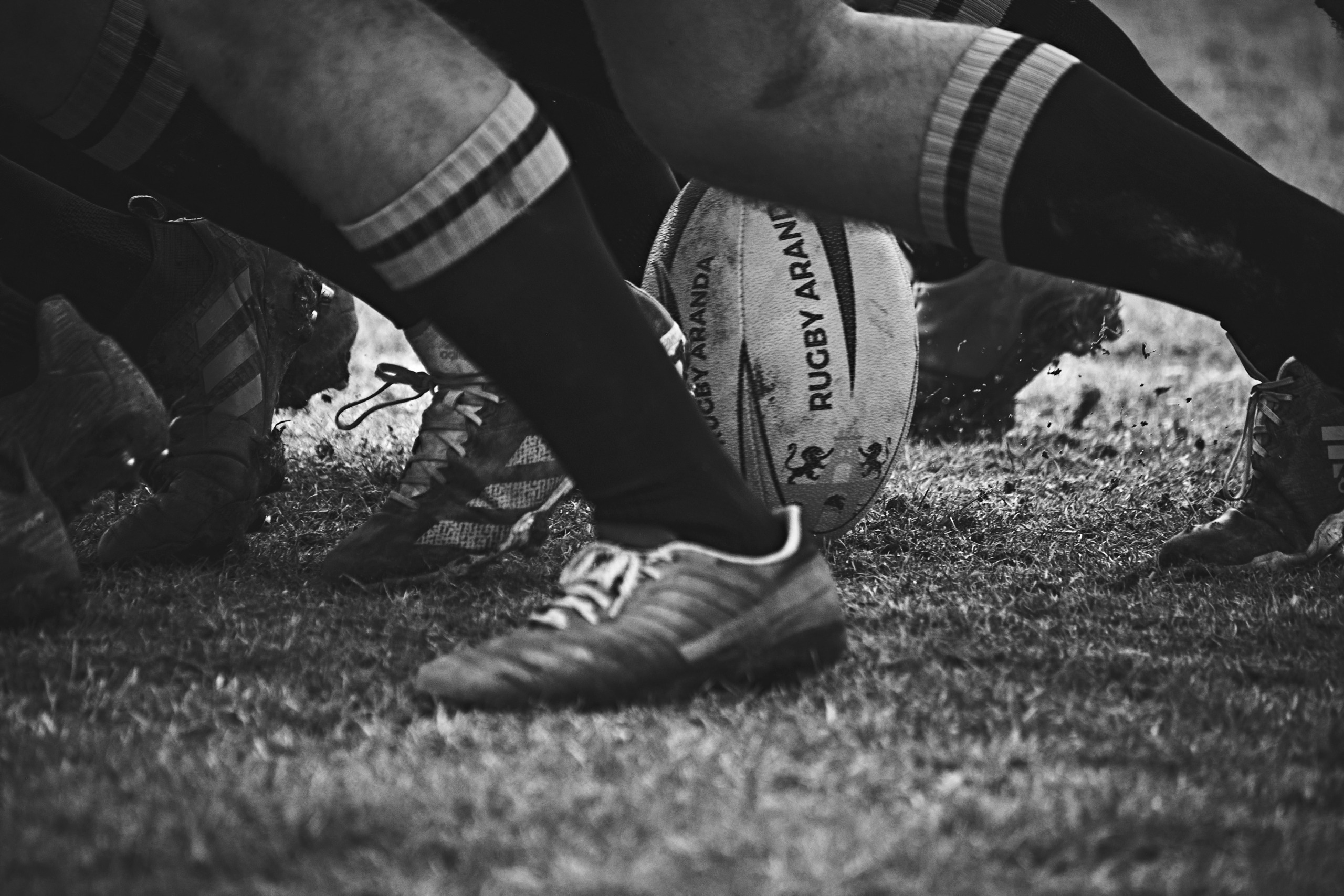 Oogpunt: Rugbyles vir opposisiepolitici