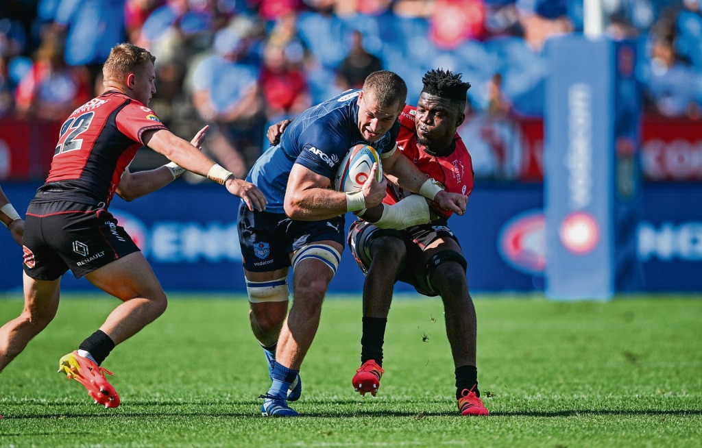 Die Bulls-losvoorspeler Cameron Hanekom is een van talle Springbokke wat die Bulls kan help om dié span op die wenpad te hou. Foto: Alche Greeff, Gallo Images.