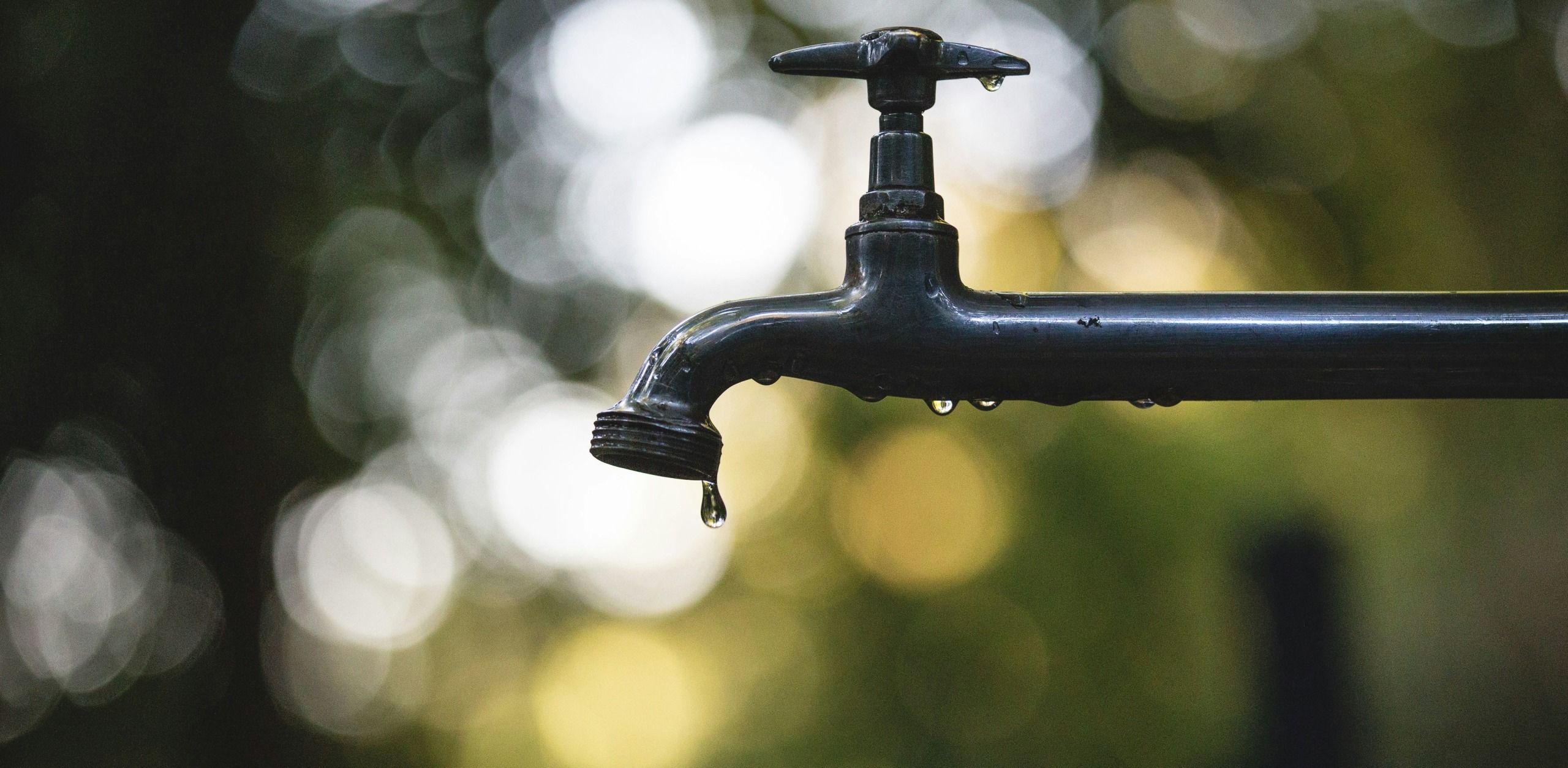 Water.