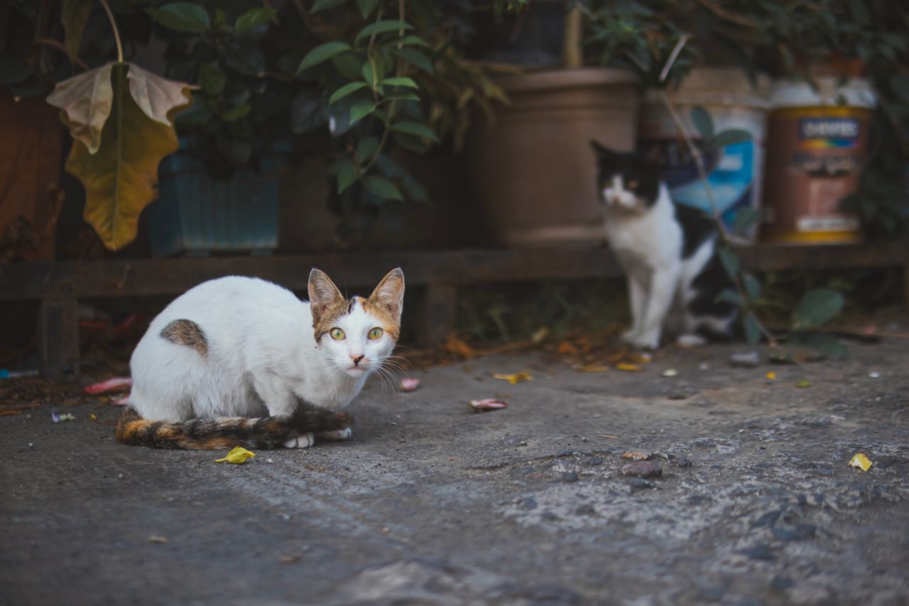 Foto ter illustrasie: Nothing Ahead/pexels.com