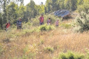 What is happening in the Helderberg?