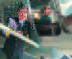 Dolphins do airfield trip