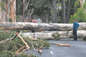 Storm wreaks havoc in the Helderberg