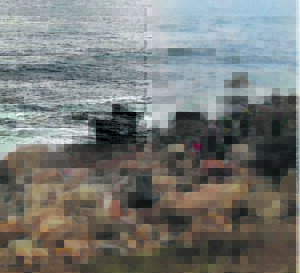 Accident claims elderly woman