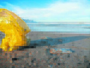 Roll up your sleeves for a cause