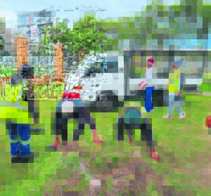 Helderberg Cops clean-up Strand courts and Lourens River