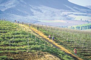 What’s happening in the Helderberg?