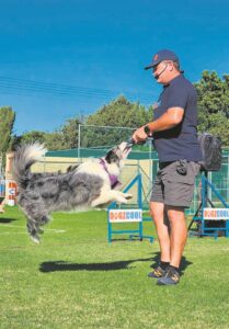 Kleintjies leer truuks by hondevertoning