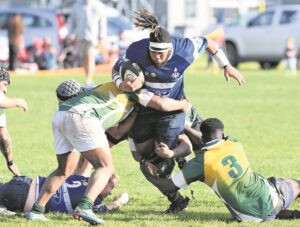 Northerns RFC fall prey to prowling Leopards