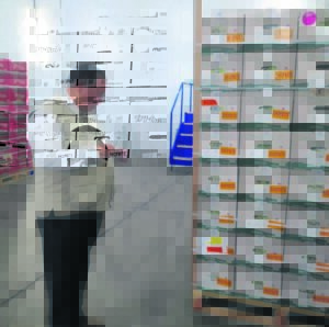 Poor harbour performance costing farmers, exporters