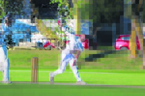Rising cricket star Tyler Williams shines at UWC and WP Colts