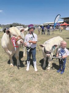 Sibbe pak bulle by die horing