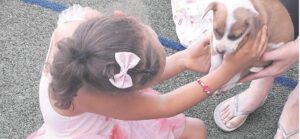 Opening hearts to Hart