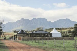 Come and savour the Nguni culinary experience at Vergelegen