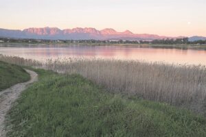 Paardevlei wetland under threat from development plans
