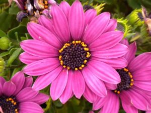 The right season to get growing