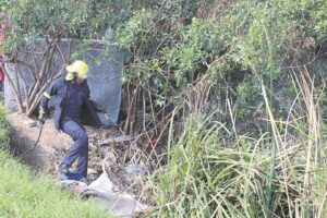 Net plante wat brand