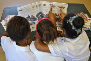 Biblioteke gaan erg gebuk onder misdadigers, sê Stad