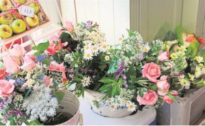 All things apple and more at harvest market