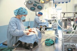 Mass animal sterilisation takes off