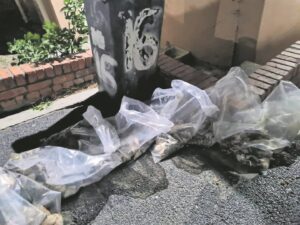 Verdagtes vlug, los perlemoen