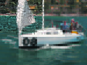 Competitive sailing season wrap-up