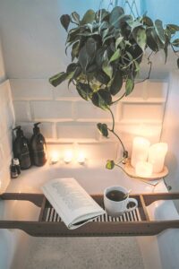 Tackling holiday stress with Rooibos to the rescue