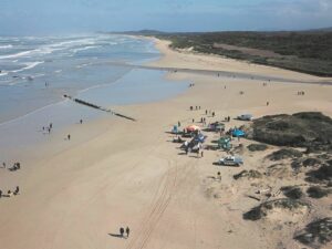 Staff of RDM and other role-players take part in Helderberg coastal clean-up