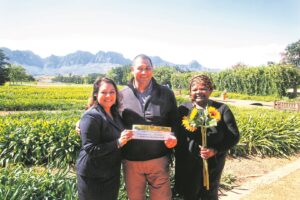 Sunflower celebration seeds cash injection for DKMS