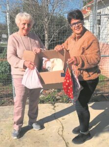 Sanitary products for schoolgirls
