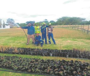 Team rescues plants from Lourens River banks