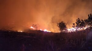 Lourensford mountain slopes still ablaze