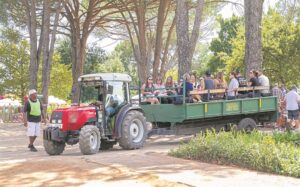 Karnavalfees vier einde van oesseisoen