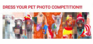 Dress your fabulous pet up for worthy cause