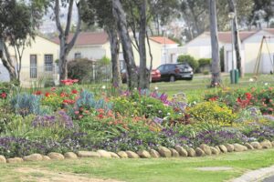 ‘Our love just keeps growing’