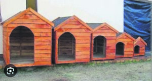 Show support, sponsor a kennel