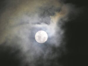 READER PHOTO: Super moon lights up sky