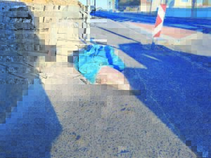 Discovery of dead shark sparks concern